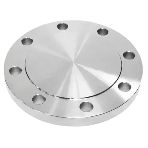 Stainless Steel Blind Flange - Color: Silver