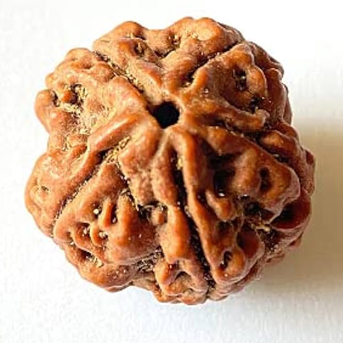 Rudraksha Beads
