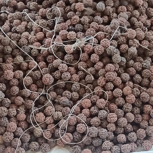Rudraksha Beads
