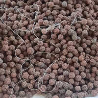 Rudraksha Beads