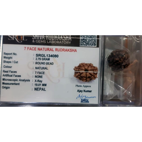 Rudraksha Beads
