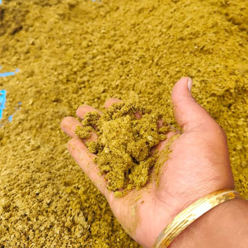 Cow Dung Panchagavya Diya