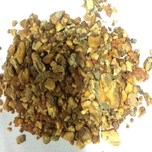 Kodiya Loban - Color: Brown