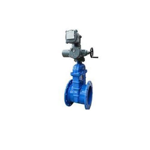 EO DIDF Sluice Valves