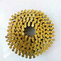 2.3x50mm Coil Nail - Diameter: 1 Millimeter (mm)