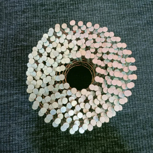 MS Screw Coil Nail