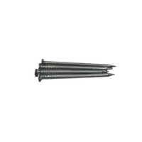 2 Inch Ms Wire Nails - Color: Silver