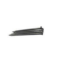 2 inch MS Wire Nails