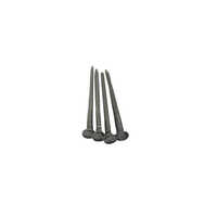 2 inch MS Wire Nails