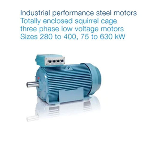 Squirrel Cage Induction Motor
