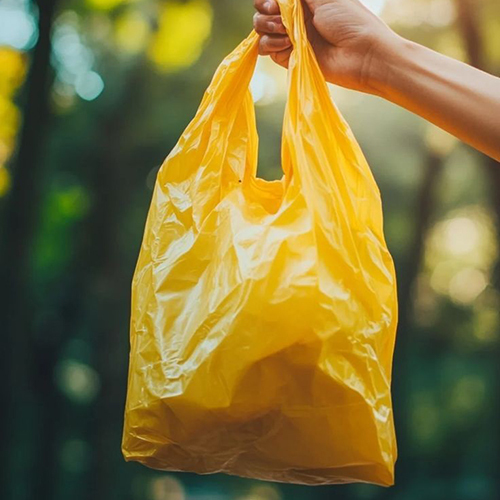 Environmentally Friendly Bag