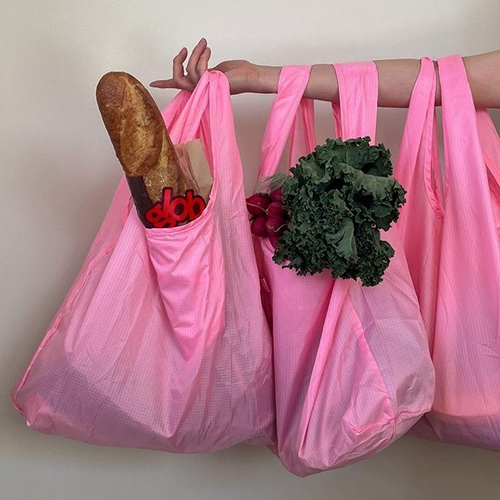 Shopping Carry Bag
