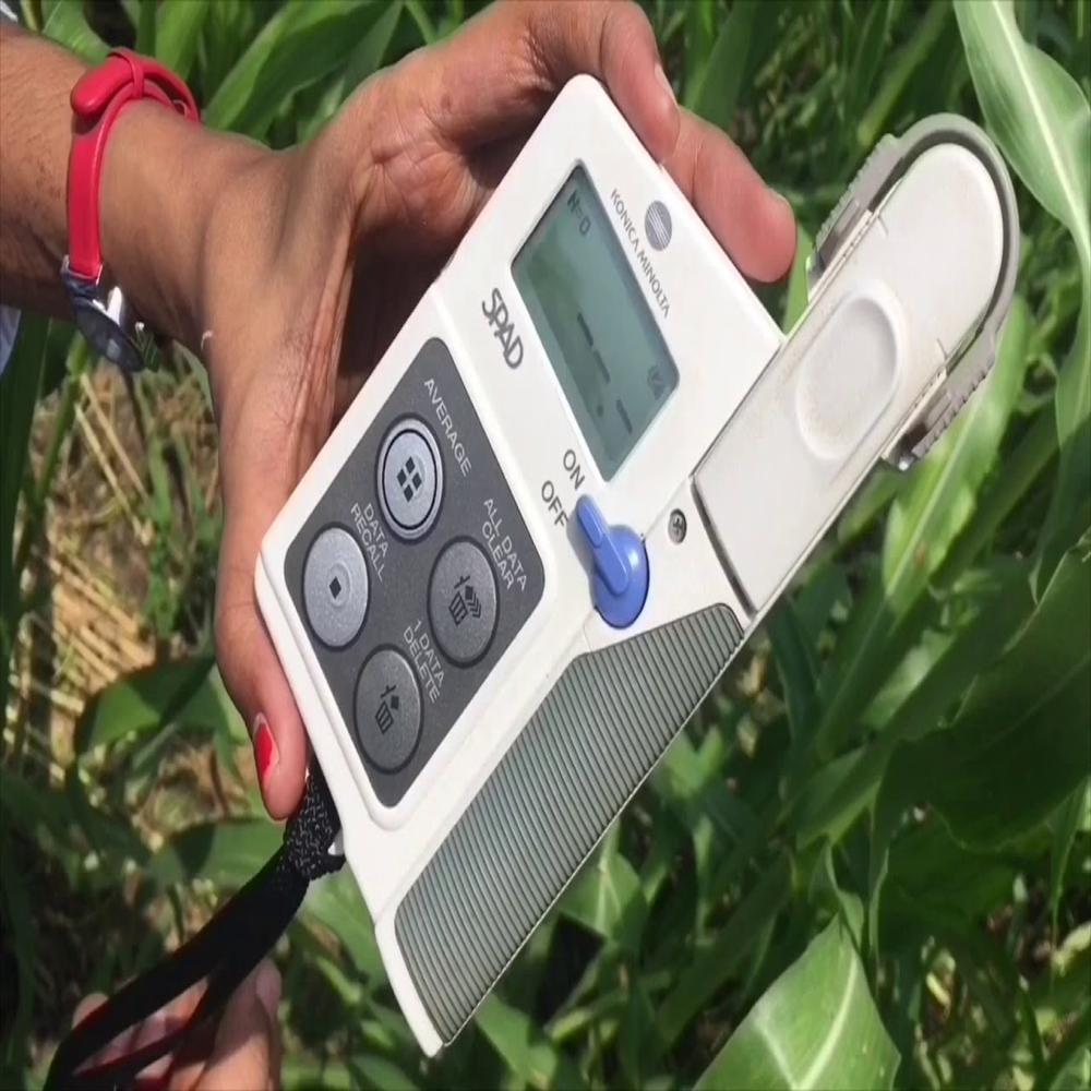Chlorophyll Meter