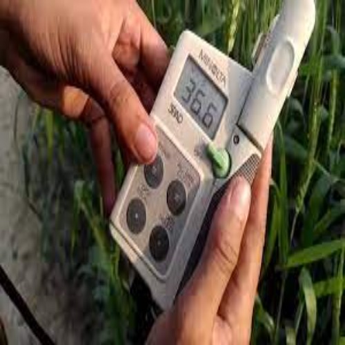 Chlorophyll Meter