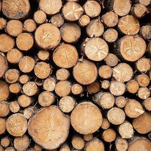 Brown Radiata Pine Wood Logs - Feature: High Quality