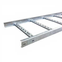 Hot Dip Galvanized Ladder Cable Tray