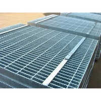Ms Serrated Grating - Color: Silver