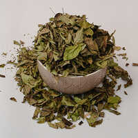 Dehydrated Curry Leaves
