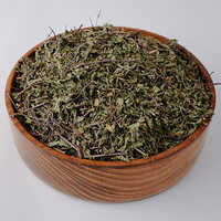 Dried Mint