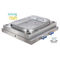Fixed Half Serving Tray Mould - Color: Silver