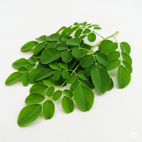 Moringa Leaves - Preserving Compound: Natural