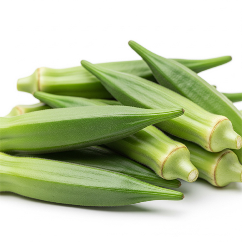 Fresh Okra - Moisture (%): 58-65%