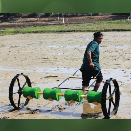 Manual Paddy Drum Seeder - Color: Green