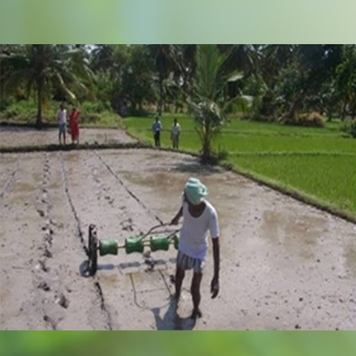 Manual Paddy Drum Seeder - Color: Green