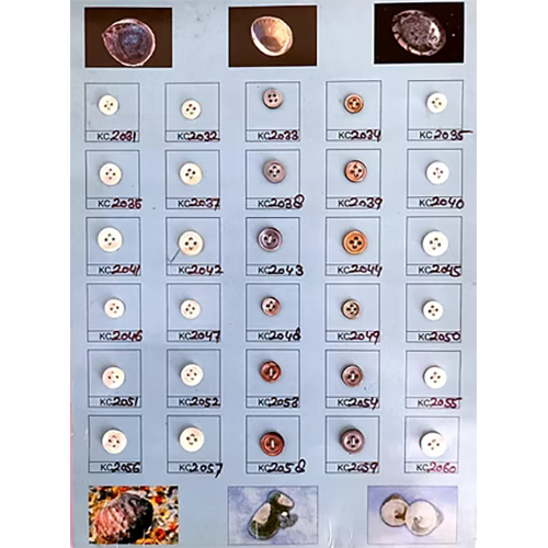Shell Button - Feature: Light In Weight