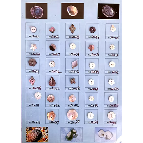 Shell Button
