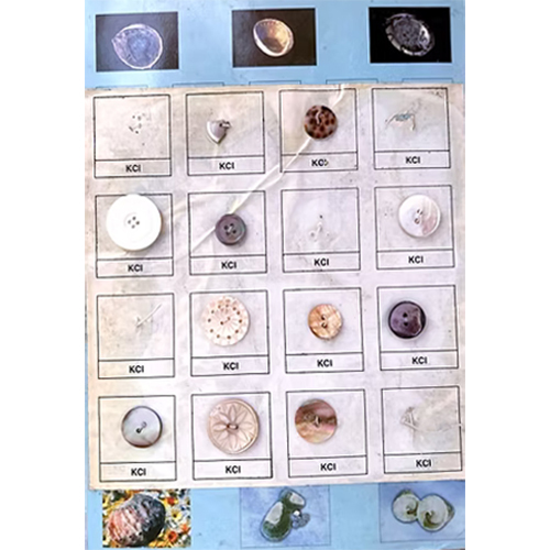 Shell Button