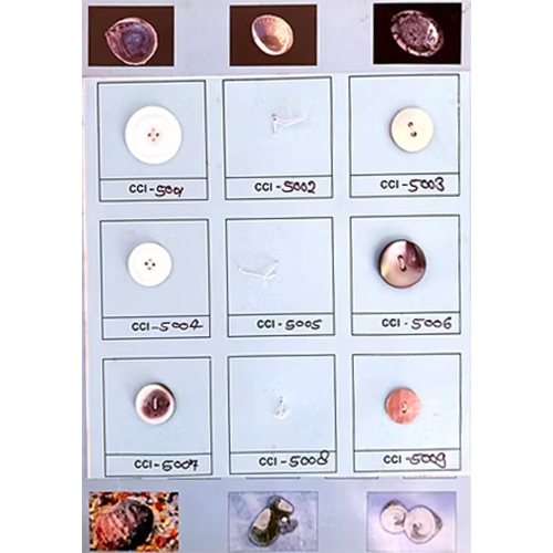 Shell Button - Feature: Light In Weight