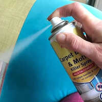 Moth Repellent Coating