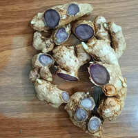 Black Ginger - Color: Brown