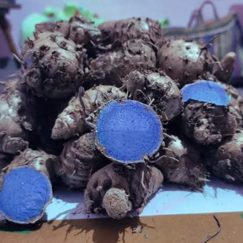 Black Turmeric - Grade: Food Grade