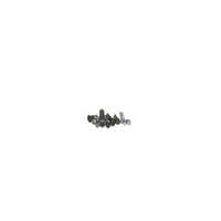 Tvs High Tensile Fasteners - Color: Silver Black