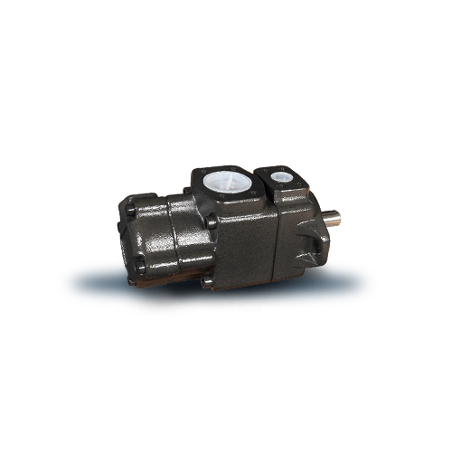 Kt6 Series Double Pump - Material: Mild Steel