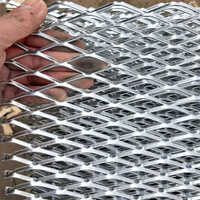 Gi Expanded Mesh - Color: Silver