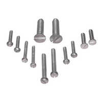 Cheese Head Screws - Color: Silver