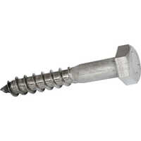 Hex Coach Screw - Color: Silver