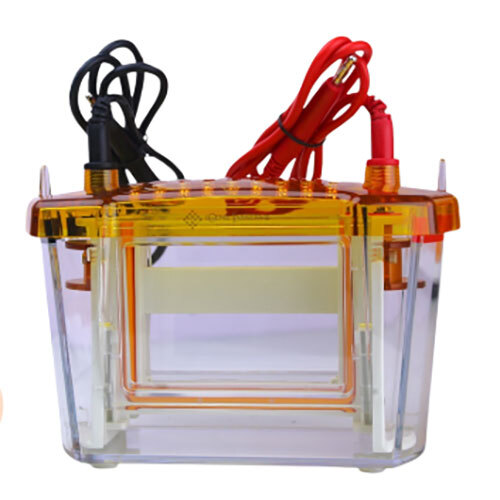 VERTICAL GEL ELECTROPHORESIS