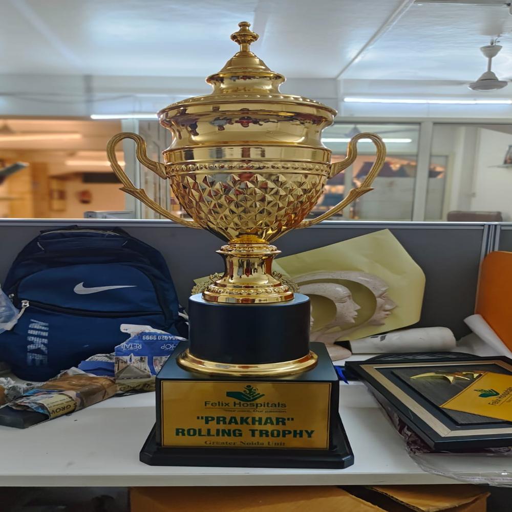 Metal Cup Trophy - Color: Various Colors