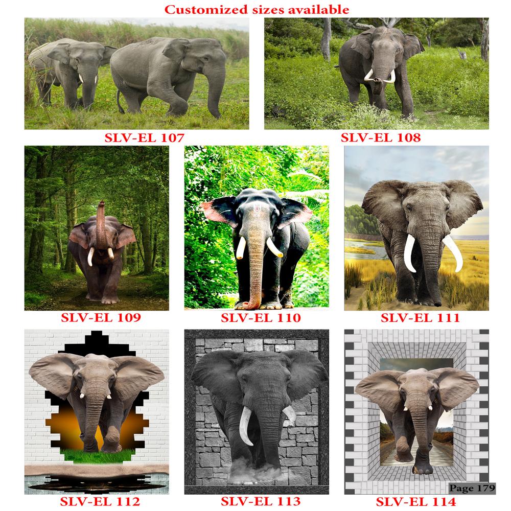 Animals And Birds Wall Poster Tiles