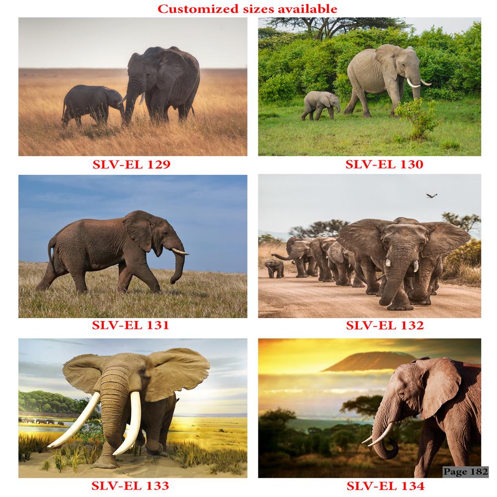 ANIMALS AND BIRDS WALL POSTER TILES