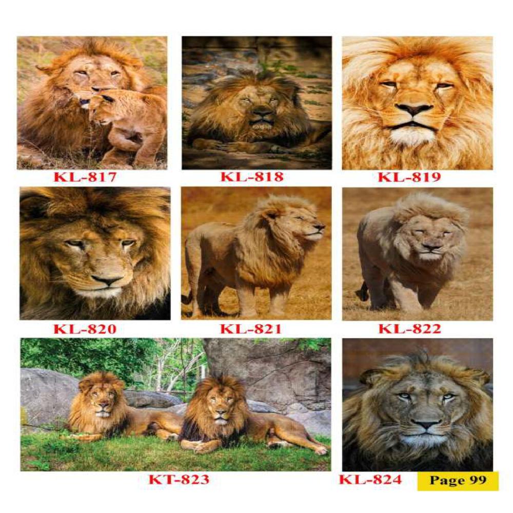 ANIMALS AND BIRDS WALL POSTER TILES