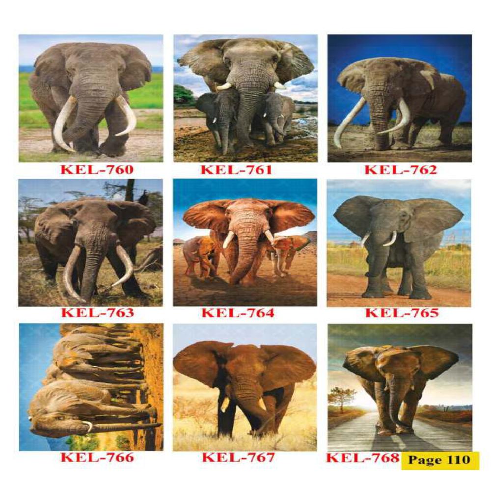 ANIMALS AND BIRDS WALL POSTER TILES