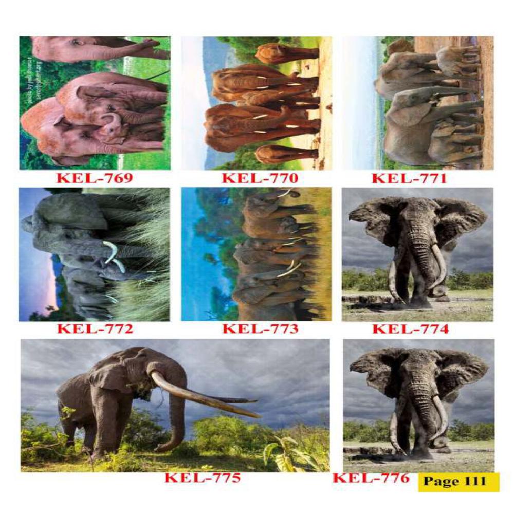 Animals And Birds Wall Poster Tiles