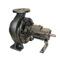 Air Cooled Thermic Fluid Process Pump