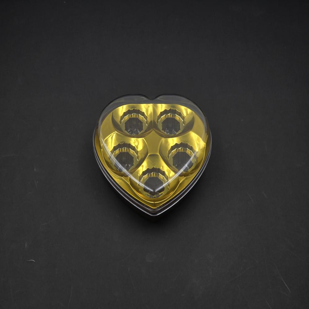 HEART 5 CAV (CPHE5CAV)