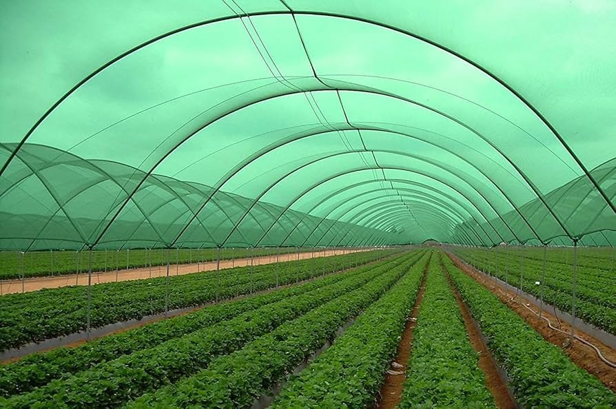 Safety Shade Net - Application: Agriculture